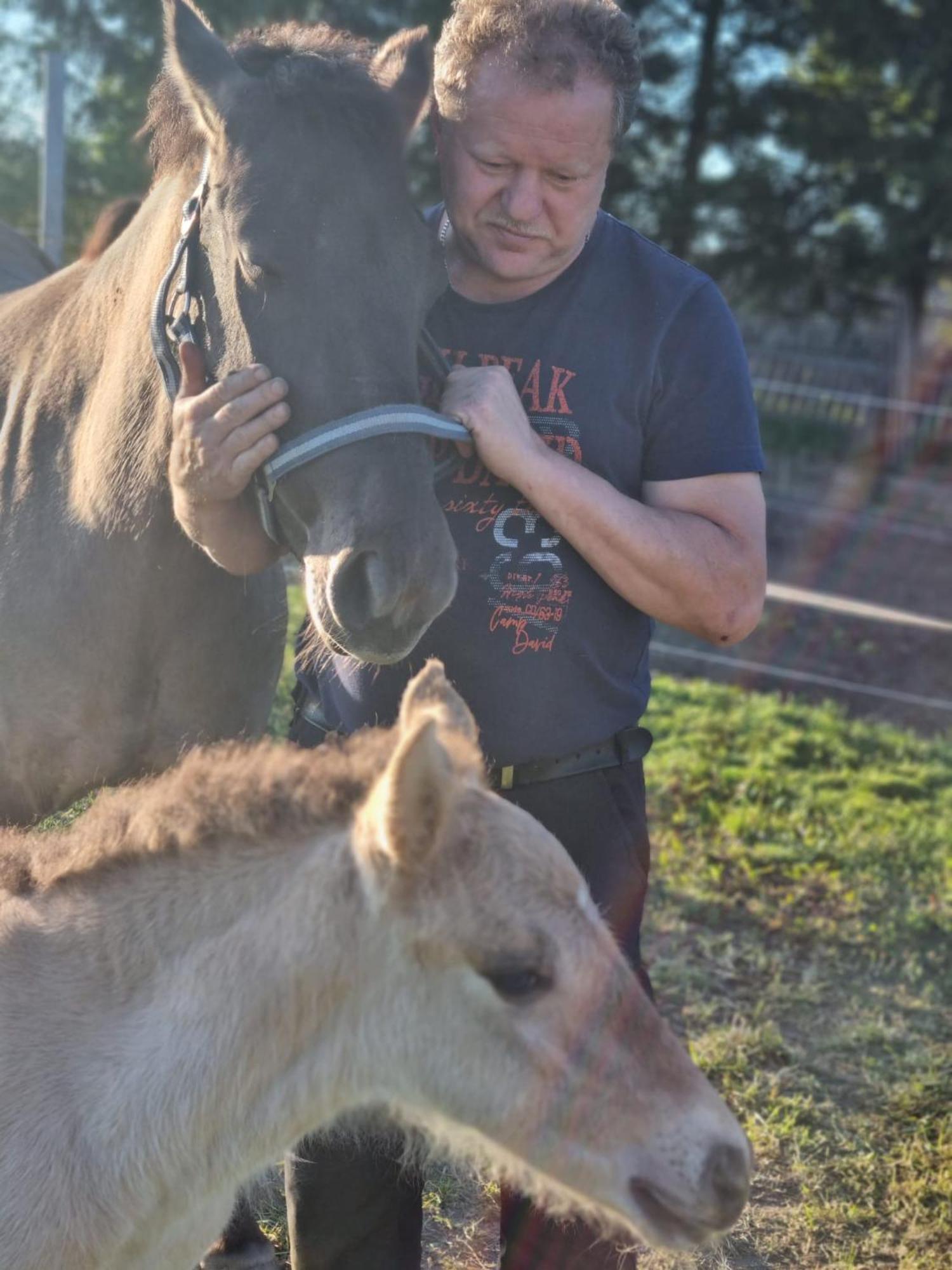Komblowka Marcinowa Wola Esterno foto