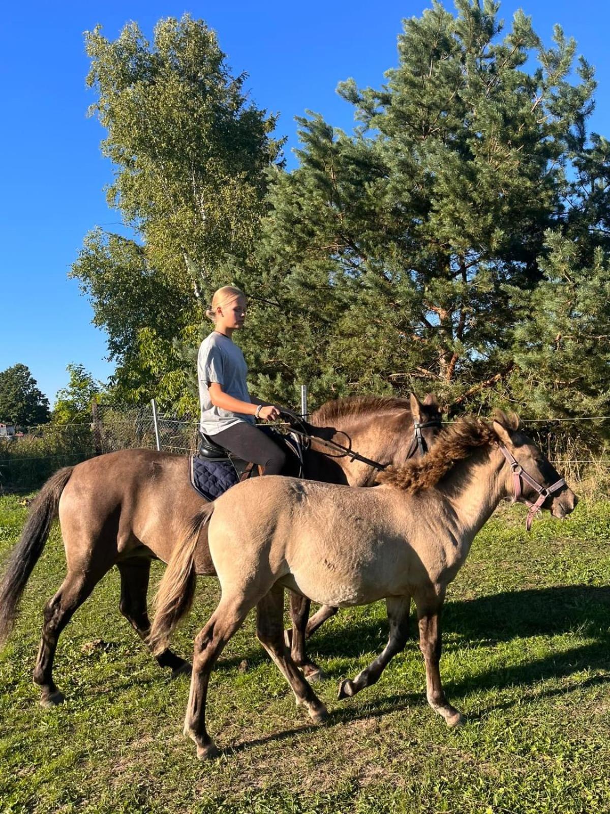 Komblowka Marcinowa Wola Esterno foto
